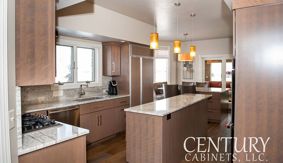 Sleek & Inspiring Contemporary | Century Cabinets in Orange City, IA